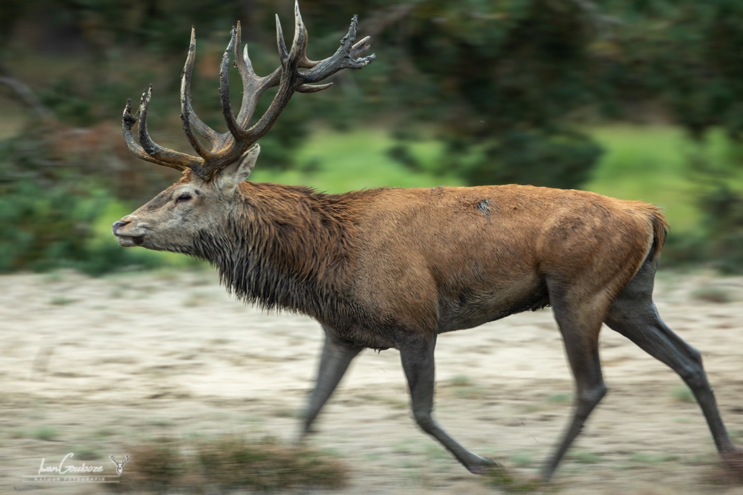 19 september 2023 165851  R2A6715